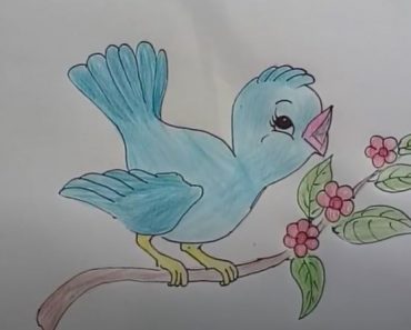 How to draw a Bird Step by Step - Easy animals to draw for beginners