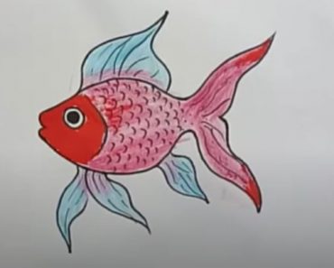How to draw a fish step by step