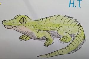 How to draw a Crocodile for Kids Step by Step