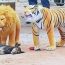 Troll Prank dog & fake Lion and Fake Tiger Prank To dog - funny dog videos