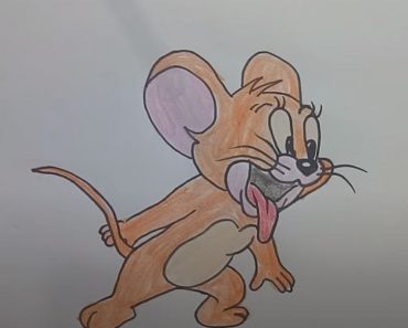 How to Draw Jerry from Tom and Jerry Step by step