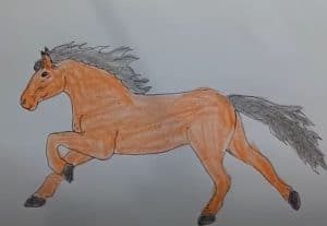 How to draw a Horse step by step
