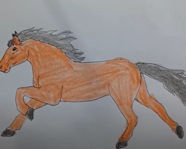 How to draw a Horse step by step
