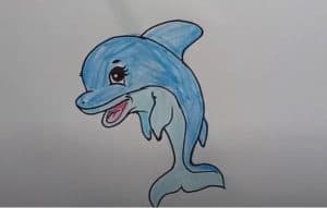 How to draw a cartoon Dolphin cute and easy