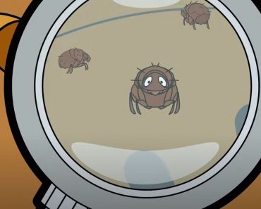 Funny Bean vs Bug - Mr Bean cartoon for kids