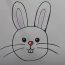 How to Draw a Rabbit Face Easy