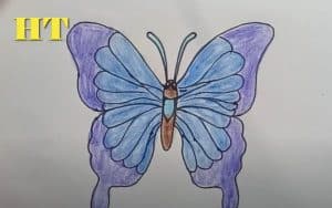 How to draw a cartoon Butterfly