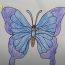 How to draw a cartoon Butterfly