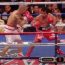 Manny Pacquiao vs Miguel Cotto Highlights
