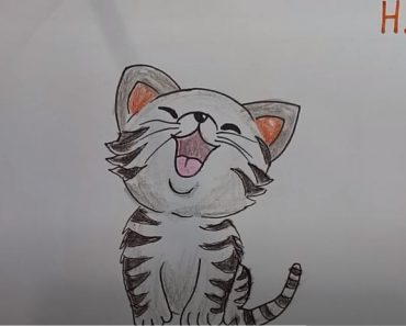 How To Draw Cute kitty cat