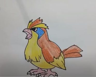 How To Draw Pidgey
