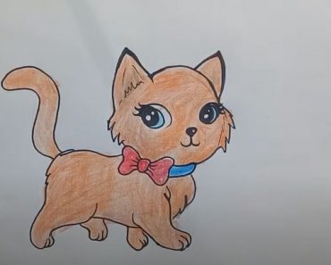 How to draw a cute cat