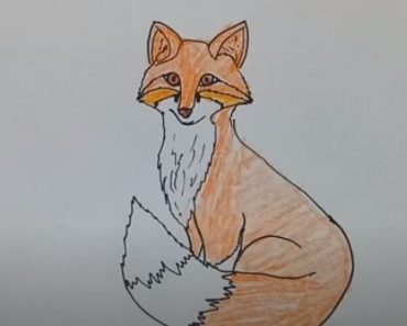 Simple Fox Drawing