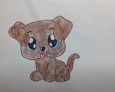 how to draw a cute puppy