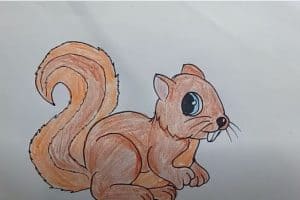 how to draw a cute squirrel
