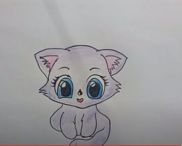 how to draw a kitten