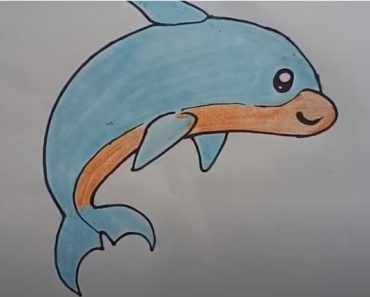 How To Draw A Cartoon Dolphin Cute