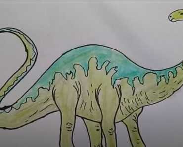 How To Draw A Dinosaur Apatosaurus