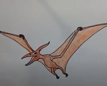 How To Draw A Pterodactyl Dinosaur Easy Step By Step