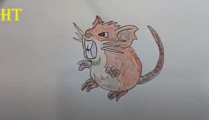 How To Draw A Raticate From Pokemon
