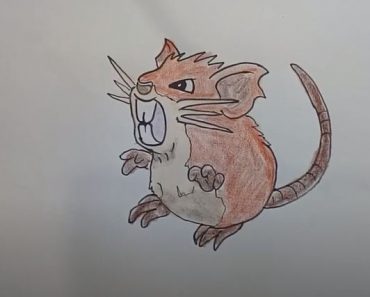 How To Draw A Raticate From Pokemon