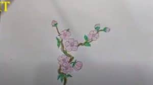 How To Draw Cherry Blossom