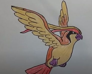 How To Draw Pidgeot From Pokemon