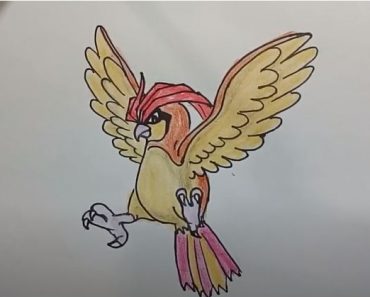 How To Draw Pidgeotto From Pokemon