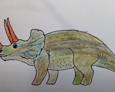 How To Draw Triceratops Dinosaur Easy Step By Step
