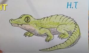 How To Draw a Crocodile Cute
