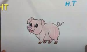 How To Draw a Pig Cute