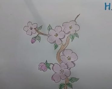 How to Draw Cherry Blossoms