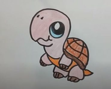 w To Draw A Turtle Cute