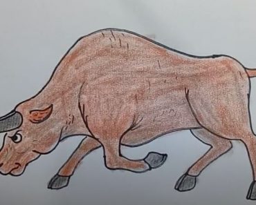 How To Draw A Bull Easy Step By Step