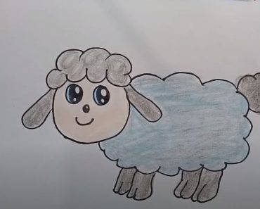 How To Draw A Cartoon Sheep Easy step By Step