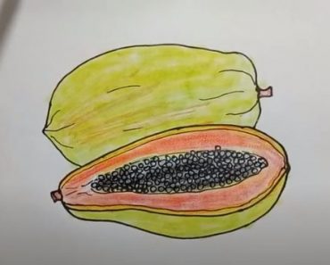 How To Draw A Papaya