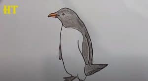 How To Draw A Penguin Easy Step By Step