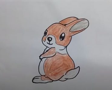 How To Draw A Rabbit Cute And Easy Step By Step