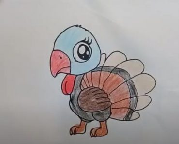 How To Draw A Turkey Cute And Easy Step By Step