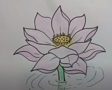 How To Draw A lotus Flower Easy Step By Step
