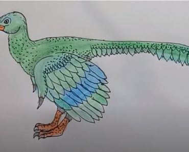 How To Draw Archaeopteryx Easy Step By Step