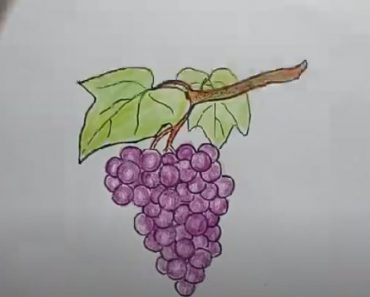 How To Draw Boss Grapes