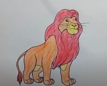 How To Draw Mufasa From Lion King Easy Step By Step