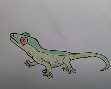 How To Draw a Leopard Gecko Easy step by step