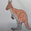 How To Draw kangaroo Easy Step By Step