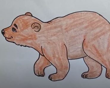 How To Draw A Bear Cute with this how-to video and step-by-step drawing instructions. Easy animals to draw for beginners and kids.