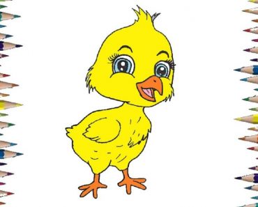 How To Draw A Baby Chick Cute And Easy Step By Step