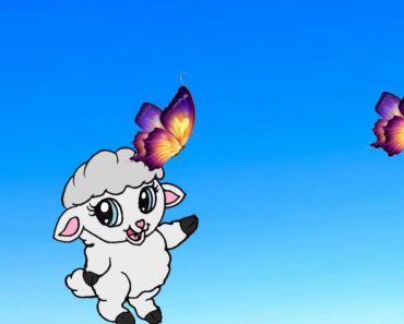 How To Draw A Baby Sheep Cute Step By Step