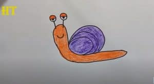 How To Draw A Cute Snail Easy Step By Step