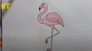 How To Draw A Flamingo Easy Step By Step 